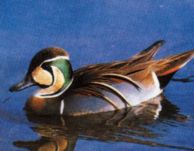 �����-�������, ������� � ������ / ����� ����� �����